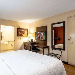 Deluxe King Room Disability Access Roll Shower Smoke